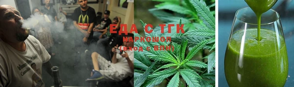 гидра Верхний Тагил