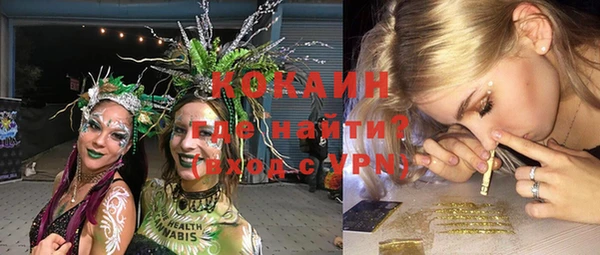 гидра Верхний Тагил