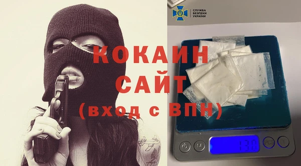 гидра Верхний Тагил