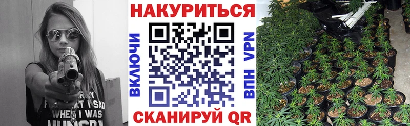 Конопля индика  Нелидово 